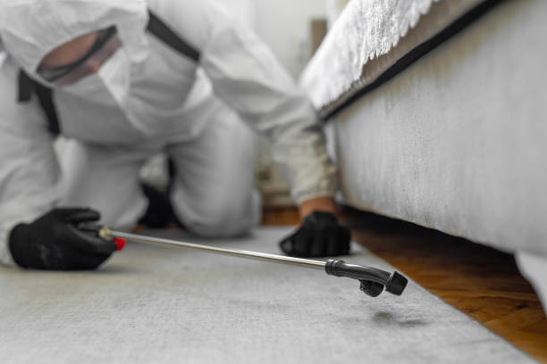 Professional Bed Bug Control technician working in Vernonia, OR